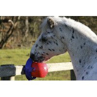 Gioco pietra di sale Tongue Twister Likit Rosso