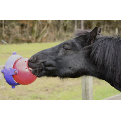Gioco pietra di sale Tongue Twister Likit Rosso Gioco pietra di sale Tongue Twister Likit Rosso