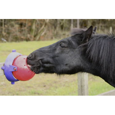 Gioco pietra di sale Tongue Twister Likit Rosso Gioco pietra di sale Tongue Twister Likit Rosso
