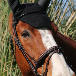 Briglia Pénélope Point Sellier Avana Marrone