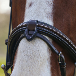 Briglia Pénélope Point Sellier Avana Marrone