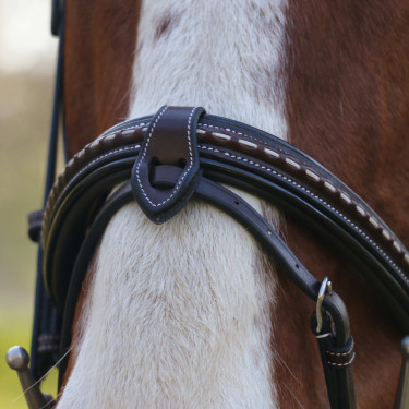 Briglia Pénélope Point Sellier Avana Marrone