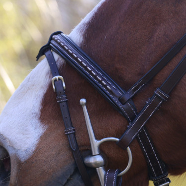 Briglia Pénélope Point Sellier Avana Marrone