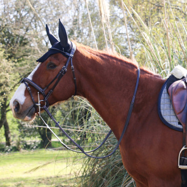 Briglia Pénélope Point Sellier Avana Marrone