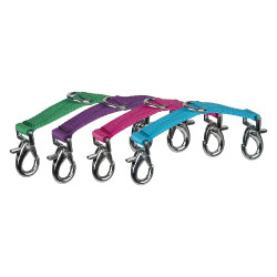 Alleanza per cavezza da lunghina Horze Blu turchese