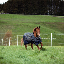 Capestro Carlisle Horze con strass Capestro Carlisle Horze con strass