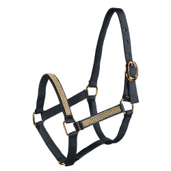 Cavezza puledro strass Horze Cavezza puledro strass Horze