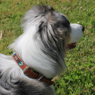 Collare per cane Pénélope Pearl Collare per cane Pénélope Pearl