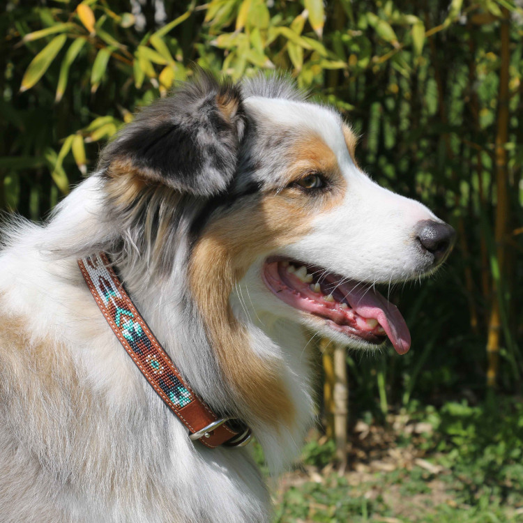 Collare per cane Pénélope Pearl