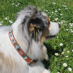 Collare per cane Pénélope Pearl Collare per cane Pénélope Pearl