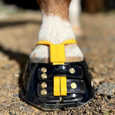 Cinghia anti-fango Scoot mud strap Calendula Giallo
