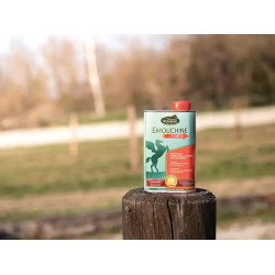 Emouchine Forte Ravene