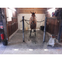 DELTA DIAM - SOL ALLEE ECURIE