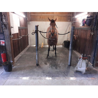 DELTA DIAM - SOL ALLEE ECURIE