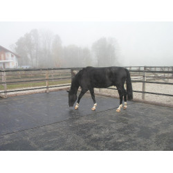 Delta Diam 16 mm Puzzle - Allée, Van et Camion