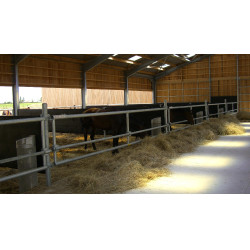 Caoutchouc MC 2000mm - séparation de box