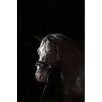 Capestro Classic Soft Covalliero Blu navy