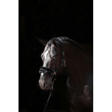 Capestro Classic Soft Covalliero Nero Capestro Classic Soft Covalliero Nero