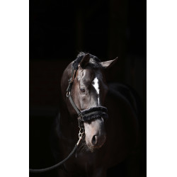 Capestro Classic Soft Covalliero Nero Capestro Classic Soft Covalliero Nero