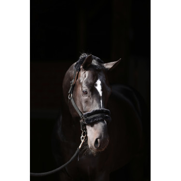 Capestro Classic Soft Covalliero Nero Capestro Classic Soft Covalliero Nero