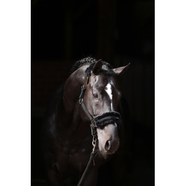 Capestro Classic Soft Covalliero Nero Capestro Classic Soft Covalliero Nero