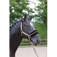 Capestro Classic Soft Covalliero Cappuccino Marrone Capestro Classic Soft Covalliero Cappuccino Marrone