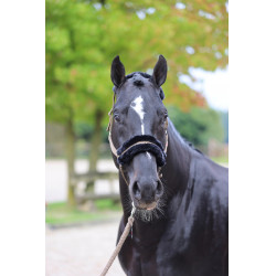 Capestro Classic Soft Covalliero Capestro Classic Soft Covalliero