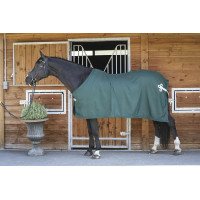 Camicia Paddock Sports Presentazione Verde