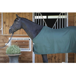 Camicia Paddock Sports Presentazione Verde Camicia Paddock Sports Presentazione Verde