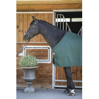 Camicia Paddock Sports Presentazione Verde Camicia Paddock Sports Presentazione Verde