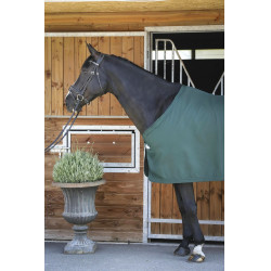 Camicia Paddock Sports Presentazione Verde Camicia Paddock Sports Presentazione Verde