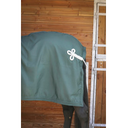 Camicia Paddock Sports Presentazione Verde Camicia Paddock Sports Presentazione Verde