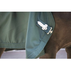 Camicia Paddock Sports Presentazione Verde Camicia Paddock Sports Presentazione Verde