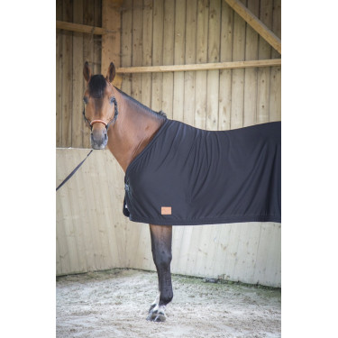 Camicia Asciugante Paddock Sports Camicia Asciugante Paddock Sports
