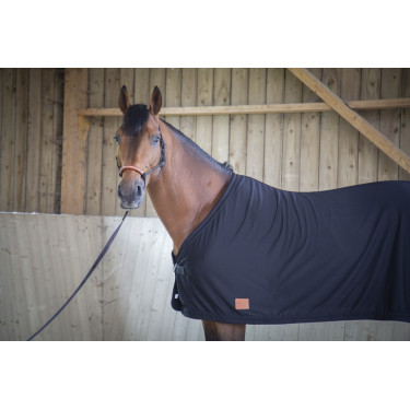 Camicia Asciugante Paddock Sports Camicia Asciugante Paddock Sports