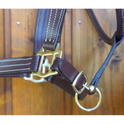 Capestro in cuoio T de T con tripla cucitura e rinforzo in nylon Marrone scuro