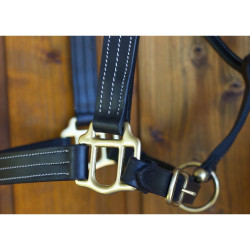 Capestro in cuoio T de T con tripla cucitura e rinforzo in nylon Nero