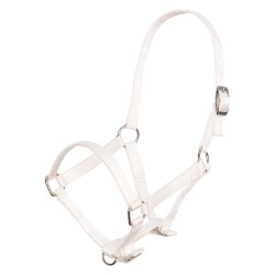 Capestro per puledro in nylon con capezzina e frontalino regolabili Imperial Riding
