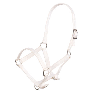 Capestro per puledro in nylon con capezzina e frontalino regolabili Imperial Riding