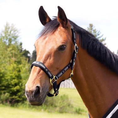 Capestro Hamptons Horze Nero