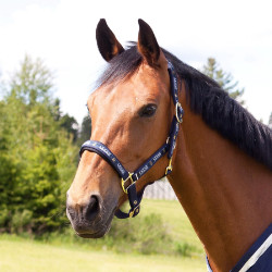 Capestro Hamptons Horze Blu