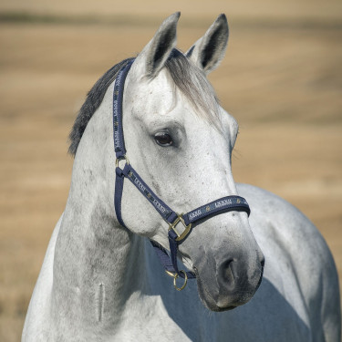Capestro Hamptons Horze Blu