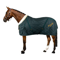 Coperta da scuderia Imperial Riding Super-dry 150gr Verde foresta