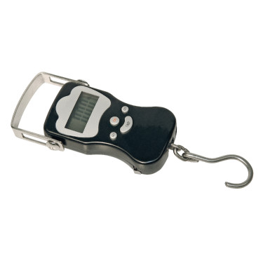 PESON DIGITALE DIGISCALE 50