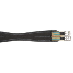 Cinghia elastica arcuata Covalliero Cinghia elastica arcuata Covalliero