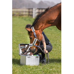 Box per la striglia Imperial Riding Shiny Argento