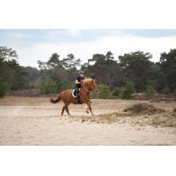 Collare Imperial Riding Free Ride Rosa chic