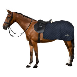 Coprireni in lana HV Polo Francis