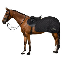 Coprireni in lana HV Polo Francis Coprireni in lana HV Polo Francis