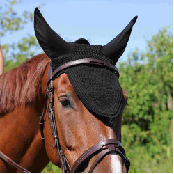 Briglia Con Ponte Manet T de T Havana scuro Marrone Briglia Con Ponte Manet T de T Havana scuro Marrone